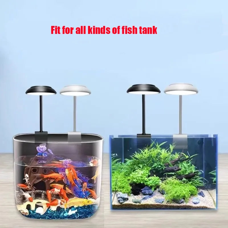 LED Aquarium Clip Lamp