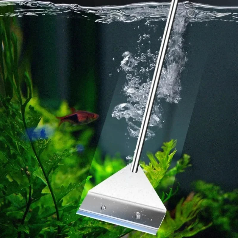 Flat algae scraper cleaning tool