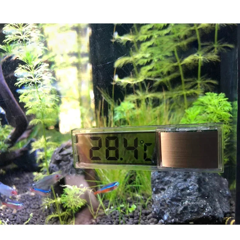 Aquarium External Thermometer